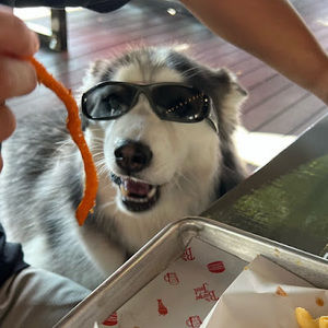 Meet your Posher, Paul